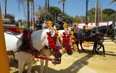 Jerez und die Feria del Caballo